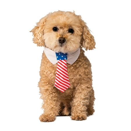 Patriotic Pet Tie (S/M)