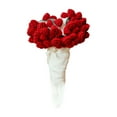 thumbnail image 1 of Liquidation! Couverture Décorative Tricotée avec Pompons Rose Rouge Crochet Rond Fleurs Bouquet Couverture Faite à la Main Design Boho (Tournesol) Couverture, Rouge, 1 of 6