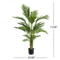 thumbnail image 5 of GDF Studio Behrens 9.85lb Artificial Palm Tree, 6' x 3.5', 5 of 6