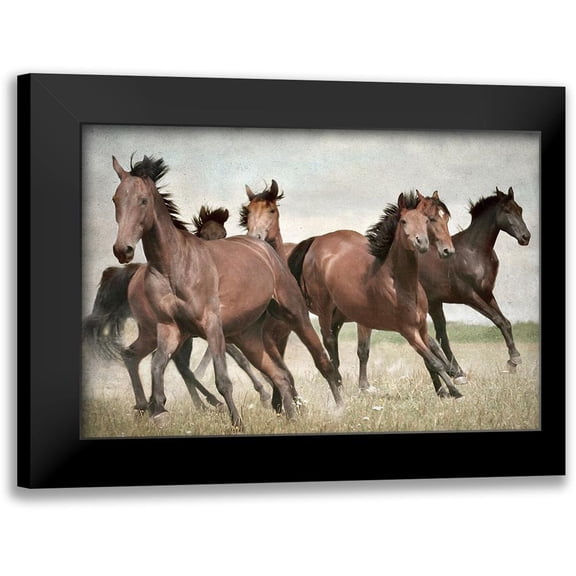 Allen, Kimberly 14x11 Black Modern Framed Museum Art Print Titled - Running Wild Horses