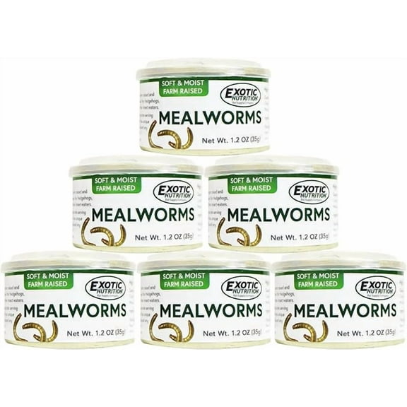 Canned Mealworms 35 g. (6 PACK) Small Pet Treat