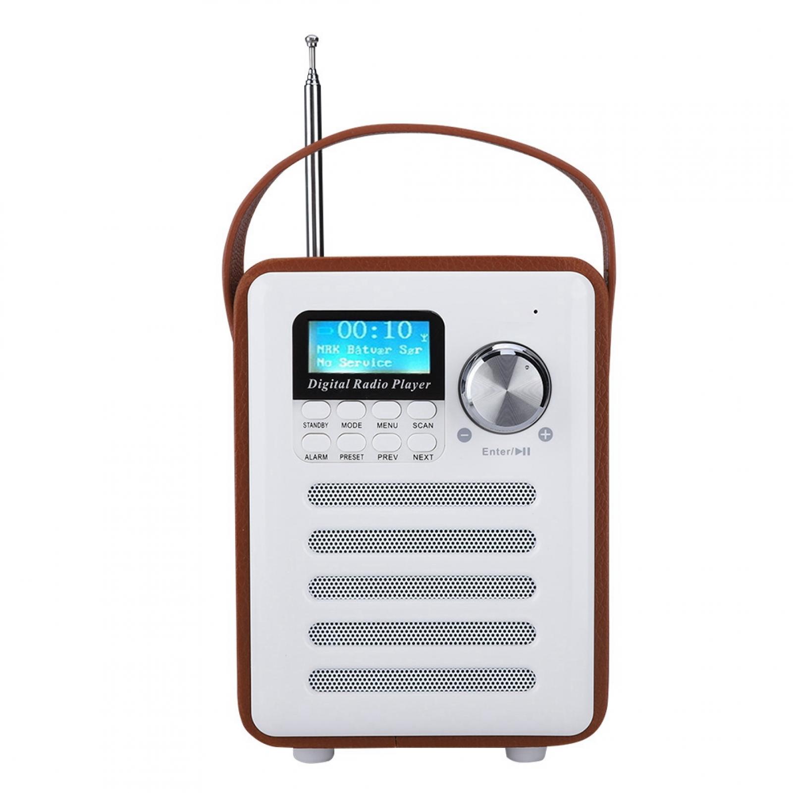 Tebru Mini Portable DAB/DAB+ FM LCD 