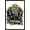 Black Framed Version, variant on Outkast - Illustrated Wall Poster, 14.725" x 22.375"