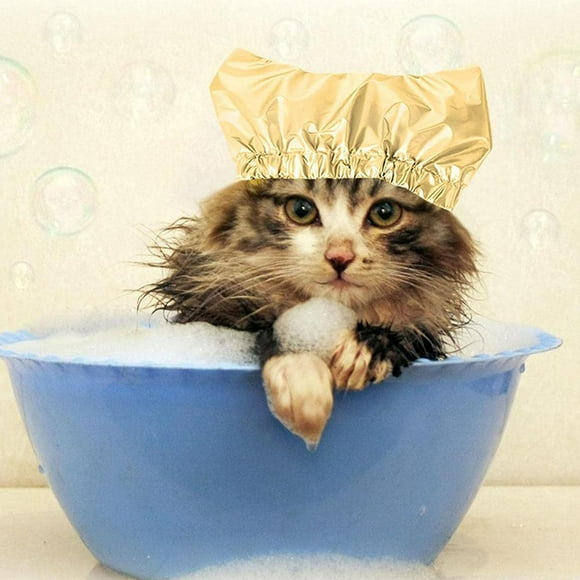 Gorro de baño impermeable con protección para los oídos para ducha de mascotas, suministros para mascotas perros y gatos