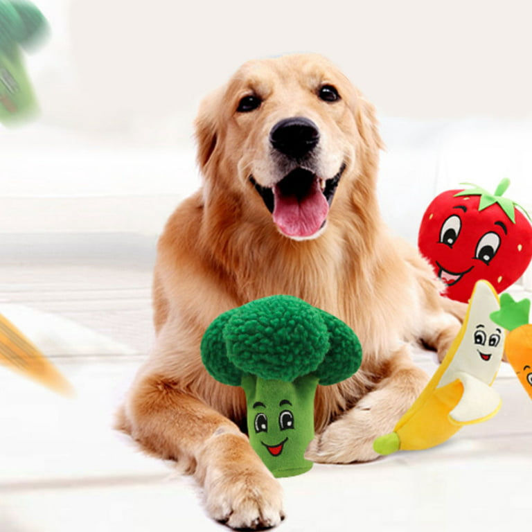 Broccoli Interactive Dog Toy – WOOFELITE