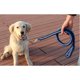 thumbnail image 5 of Nvzi Collar de correa deslizante Martingala ColorPet con diseño de oso y fruta para perros medianos y grandes, mediano, negro y azul, 5 of 5