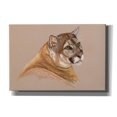 thumbnail image 1 of Epic Graffiti 'Cougar' by Barbara Keith, Canvas Wall Art, 26"x18", 1 of 2