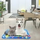 thumbnail image 5 of Tapete de juego acuático para decoración del hogar, tapete de juego con sensor de agua grueso para gatos, tapete de juego sensorial de agua con peces para mascotas, tapete de sensor de agua para niños, 5 of 8