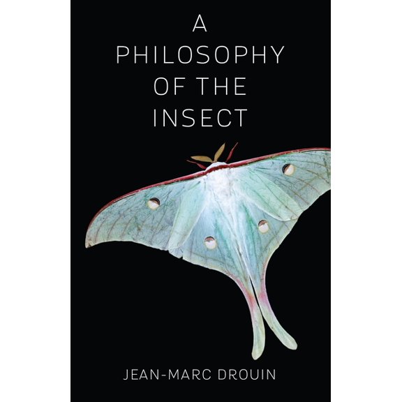 A Philosophy of the Insect, (Paperback)