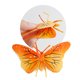 thumbnail image 2 of 6PCS de mariposas reales de suaves para niños de cumpleaños de Navidad Modelo educativo de , Color de lámpara color cro CUTICAT Niños Insectos Animales Juguetes, 2 of 8