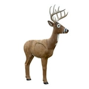Rhinehart Jimmy Big Tine Lifelike Deer Archery Target for Outdoor Hunting