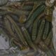 thumbnail image 5 of Señuelos de pesca Señuelos blandos de pesca duraderos suaves para acampar pescar para adultos para pescar en el mar ANGGREK Otros, 5 of 7