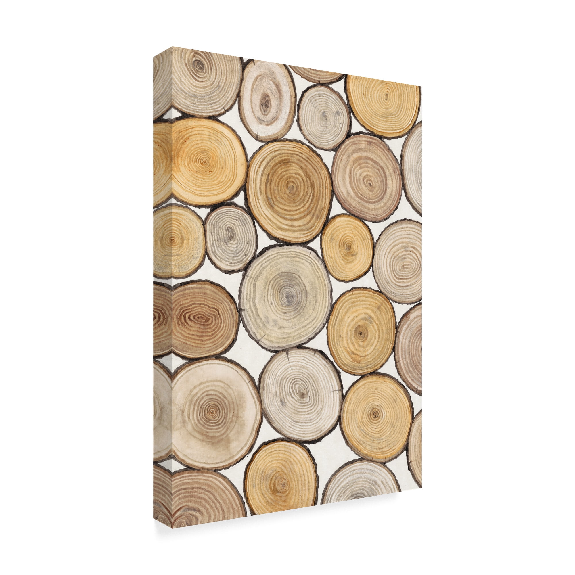Trademark Fine Art 'Tree Ring Study I' Canvas Art by Tim OToole