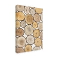 thumbnail image 2 of Trademark Fine Art 'Tree Ring Study I' Canvas Art by Tim OToole, 2 of 4