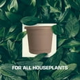 thumbnail image 5 of Rugg 7772486 Polyresin Planter - Cappuccino, 5 of 6