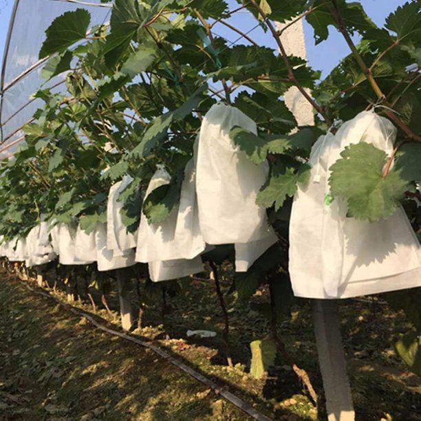 100 piezas de bolsa de protección para frutas y uvas de jardín, bolsa de malla para control de plagas de flores, bolsa de barrera de red de aislamiento de insectos (180 * 200 mm, blanco)