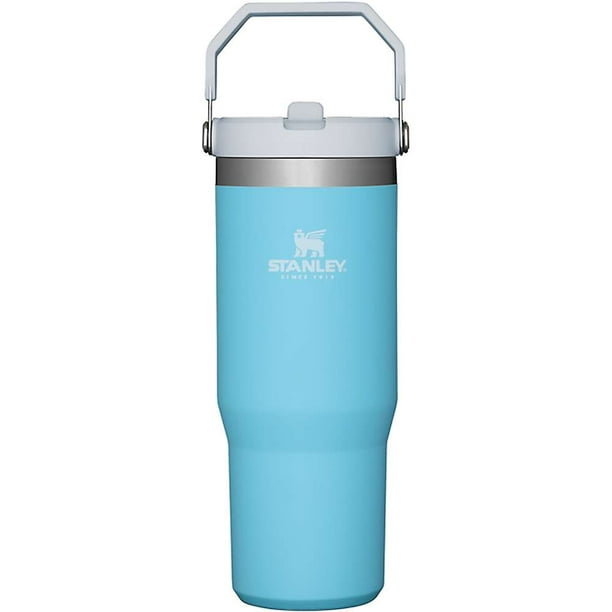 Stanley Classic 30oz Iceflow Flip Straw Tumbler - Walmart.com