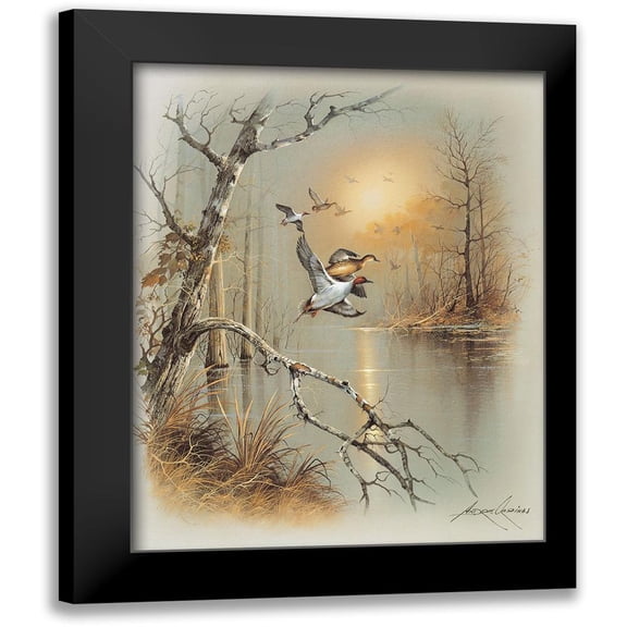 Orpinas, Andres 12x14 Black Modern Framed Museum Art Print Titled - Ducks C