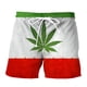 thumbnail image 1 of Bermudas deportivas informales con estampado 3D Natural para hombre, pantalones cortos hawaianos, secado rápido, ocio, Playa Fivean unisex, 1 of 2