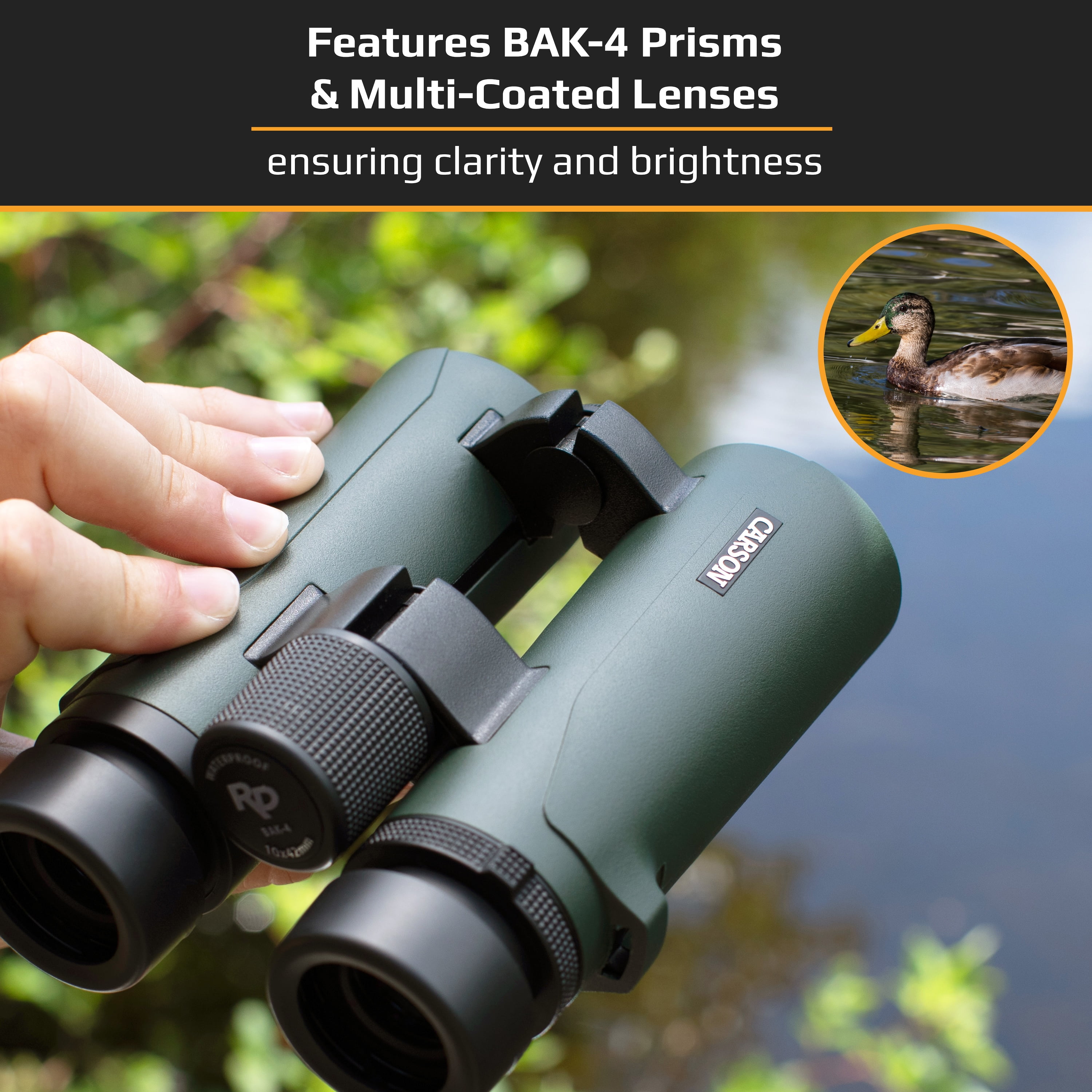 Carson RD Series 8x42mm Open-Bridge Full-Sized Waterproof Binocular