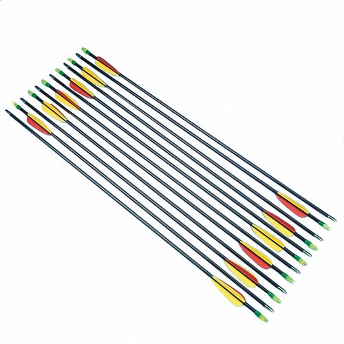 Fiberglass Target Arrows, Set of 12
