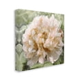 thumbnail image 3 of Blooming Puffy Flower Nature Botanical & Floral Graphic Art Gallery Wrapped Canvas Print Wall Art, 3 of 7