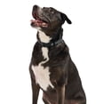 thumbnail image 6 of Wild One Quick-Release Adjustable Dog Collar, Black Reflective, Large/X-Large, 6 of 7
