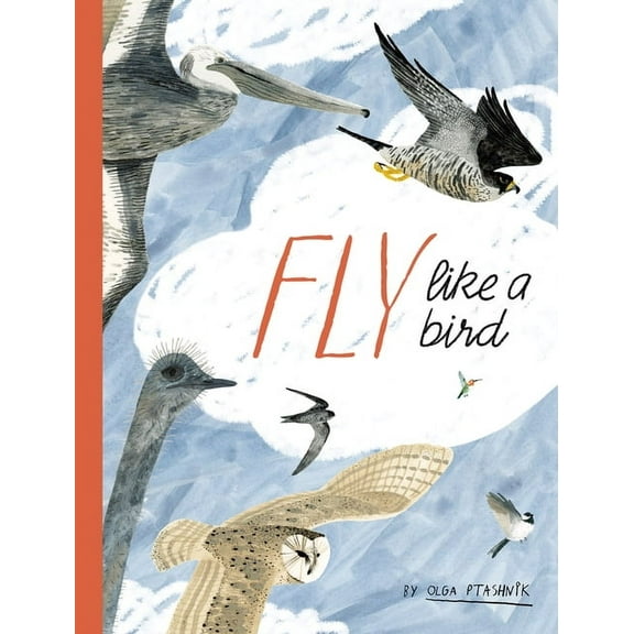 Spectacular Steam for Curious Readers (S Fly Like a Bird, (Hardcover)