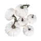 thumbnail image 2 of 6pcs Artificial Pumpkins Realistic Mini Pumpkin for DIY Craft Halloween Fall Harvest Thanksgiving Party Decoration, 2 of 3