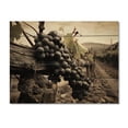 thumbnail image 3 of Designart "Captivating Vintage Charm at the Winery" Farmhouse Print on Natural Pine Wood, 3 of 5