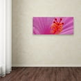 thumbnail image 3 of Trademark Fine Art "Pink Hibiscus Abstract" Canvas Art by Kurt Shaffer, 3 of 3