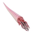 thumbnail image 4 of Simulation Orthoceras Model Ornaments Desktop Decoration Ornament Children Toy(PL127‑1526 ), 4 of 14
