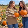 thumbnail image 2 of GRACE & GRANDEUR Women's Plus Size Halloween Outfits Striped Pullover Sweater Long Sleeve Crew Neck Knit Top with Side Slits 4X Camel, 2 of 7