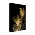 thumbnail image 2 of Trademark Fine Art Still Life Canvas Art ' Plumes Dor Ii ' by Jason Johnson, 2 of 4