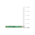 thumbnail image 2 of Everly Women's Created Emerald 10k Yellow Gold Ring, 2 of 7