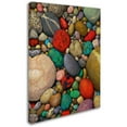 thumbnail image 2 of Trademark Fine Art "Shallows of Treasure Creek" Canvas Art by Stephen Stavast, 2 of 3