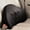 Black, variant on KQJQS Car Lumbar Support Pillow for Driver's Seat, Driving Comfort Back Support Cushion for Car, Car Lumbar Pillow