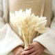 thumbnail image 1 of Dried pampas grass decoration, 40 x dried pampas grass, fragrance-free dried flowers, dried flower bouquet, natural dried flower decoration Ormromra LHH-0171, 1 of 1