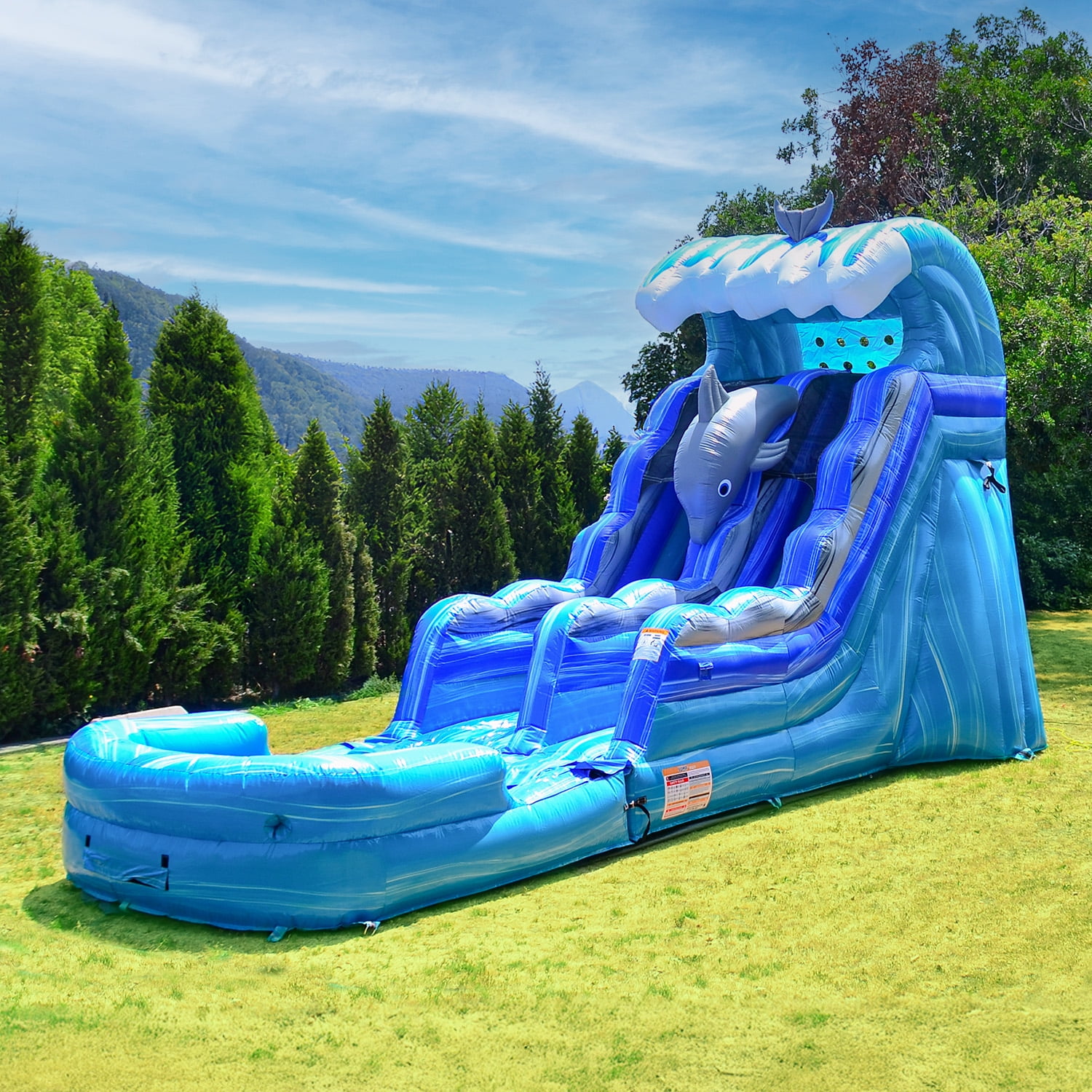 JumpOrange Outdoor Dolphins Commercial Grade Inflatable Slide with Blower Water Slide with Pool for Kids and Adults