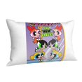 thumbnail image 2 of Fundas de almohada de Las Chicas Superpoderosas, fundas de almohada mullidas súper suaves y acogedoras con cremallera, 20 x 30 pulgadas, dormitorio, sofá, sillón, funda de almohada para todas las, 2 of 8