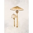 thumbnail image 2 of Purinton, Julia 19x24 Gold Ornate Wood Framed with Double Matting Museum Art Print Titled - Woodland Mushroom I, 2 of 4