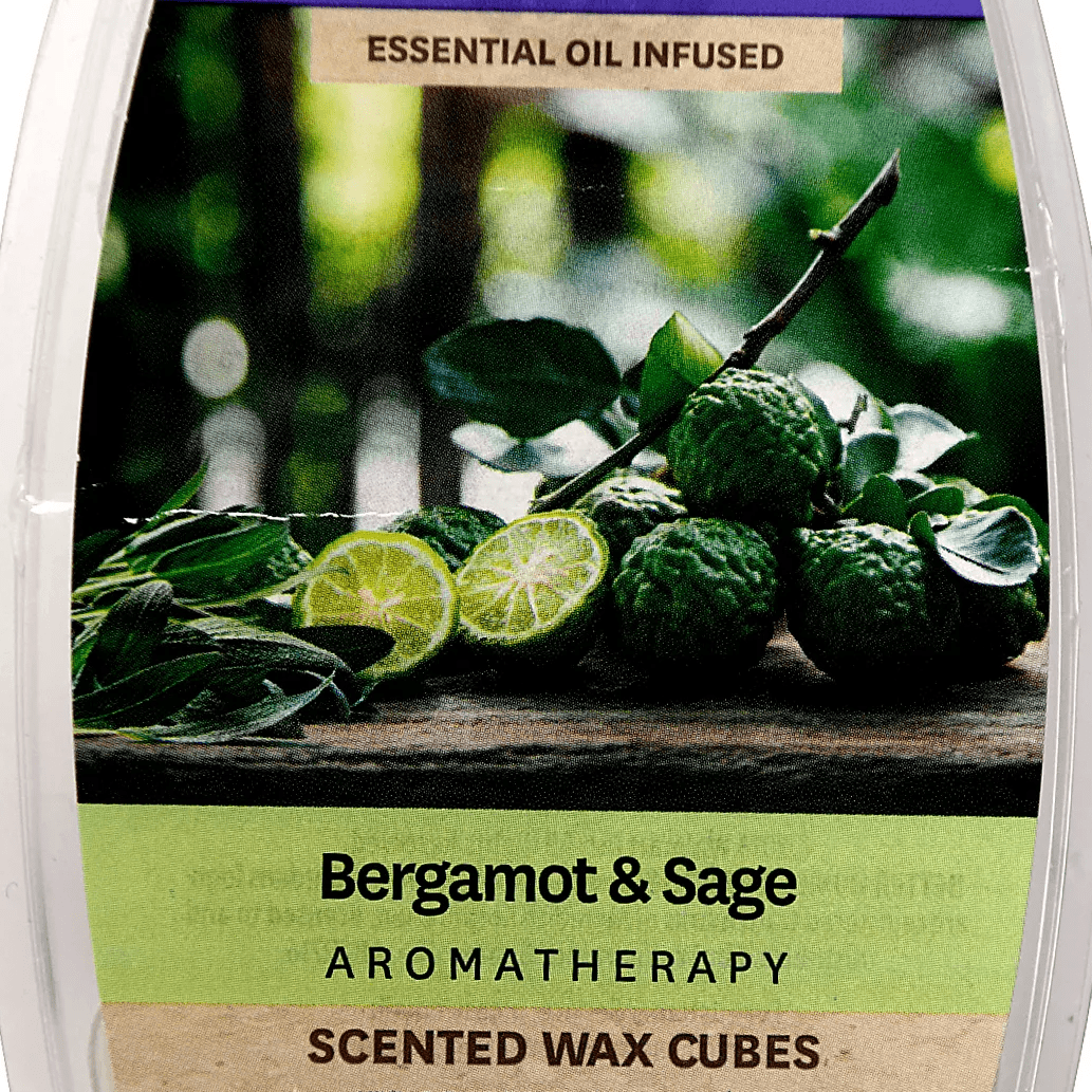 ScentSationals Memory Sage & Bergamot Scented Wax Cubes, 6 Ct - Shop  Scented Oils & Wax at H-E-B