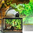 thumbnail image 3 of NEPTONION 32 Gallon Professional Glass Terrarium 24"x18"x18" Durable Reptile Habitat Tank with Heat Resistant Aluminum Alloy Frame, Dual Front Swinging Doors for no Jam by Sand and Other Debris, 3 of 7