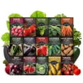 thumbnail image 5 of 15 Pack Vegetable Garden Seed Collection - Non-GMO Heirloom Full Sun Annuals, 5 of 9