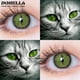 thumbnail image 2 of D'ORELLA-lentes de contacto de colores para Cosplay, lentillas multicolores para ojos de gato, lentillas verdes, 1 par, 2 of 3