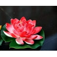 thumbnail image 4 of 4 piezas-lirio de agua (crema/rosa claro/rojo vino/rojo atardecer) Adepaton HMHZ1113, 4 of 8