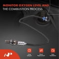 thumbnail image 2 of A-Premium O2 Oxygen Sensor Compatible with Hyundai Azera Genesis 2012-2014 Santa Fe 2013-2018 Kia Cadenza Sedona Sorento 2014 3.3L 3.5L 3.8L, 2 of 9