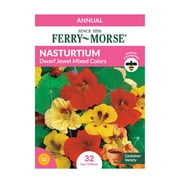 Ferry-Morse 175MG Nasturtium Dwarf Jewel Mixed Colors Flower Seeds (1 Pack)- Seed Gardening, Full Sunlight