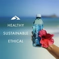 thumbnail image 5 of Waiakea Naturally Alkaline Hawaiian Volcanic Water, Natural Electrolytes & Minerals, 330mL - 24 Pack, 5 of 5