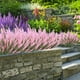 thumbnail image 5 of Plantas artificiales de exterior, vegetación colgante para interior, plástico duradero, fácil mantenimiento, decoración moderna, para jardines, decoración de bodas, plantas de balcón,, 5 of 9
